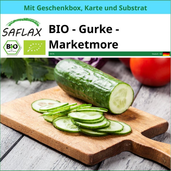 SAFLAX Geschenk Set - BIO - Gurke - Marketmore - Cucumis sativus - 20 Samen - Mit Geschenkbox, Versandaufkleber, Geschenkkarte und Anzuchtsubstrat