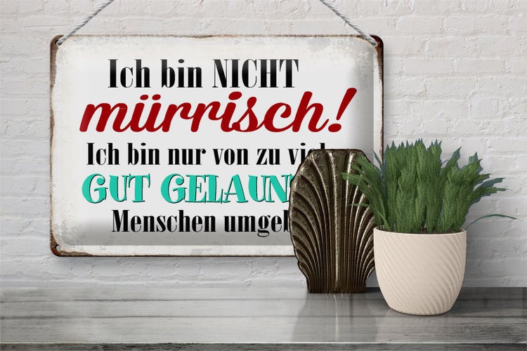 Blechschild Spruch 30x20cm ich bin nicht mürrisch bin nur