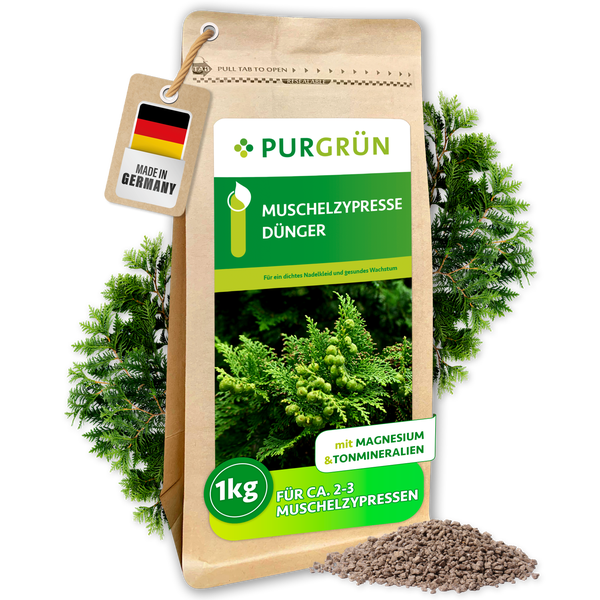 Eine Packung Purgrün Muschelzypresse Dünger mit einem Kilogramm Inhalt, geeignet für circa zwei bis drei Muschelzypressen, inklusive Magnesium.