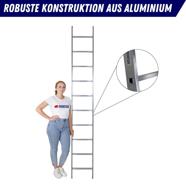 Aluleiter mit Sprossen und Dame für Größenvergleich