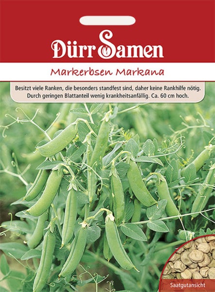 Samenpackung Stiefmütterchen Schweizer Riesen Firnengold, Quedlinburger Saatgut Logo, gelbe Blüte mit dunkler Mitte, Höhe circa 20 cm.