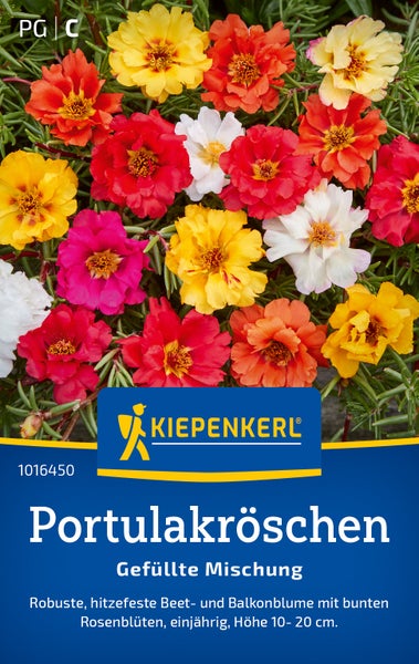 Kiepenkerl Portulakröschen gefüllte Mischung Saatgut fuer beet und balkon hitzefeste pflanze mit rosenartigen blueten einjaehrig