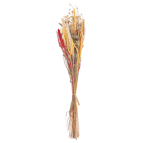 Trockenblumenstrauß PAMPELUNA 65 cm Naturfarben