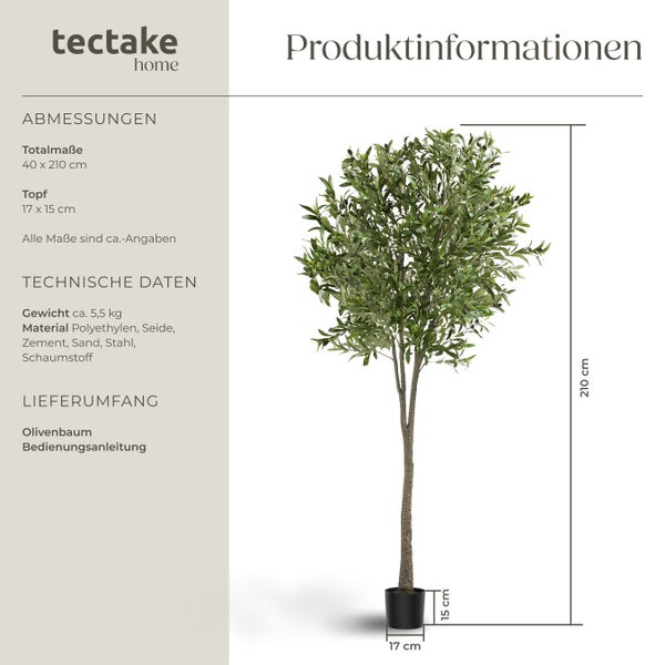 Dekorativer Olivenbaum mit Topf, circa 210 cm hoch