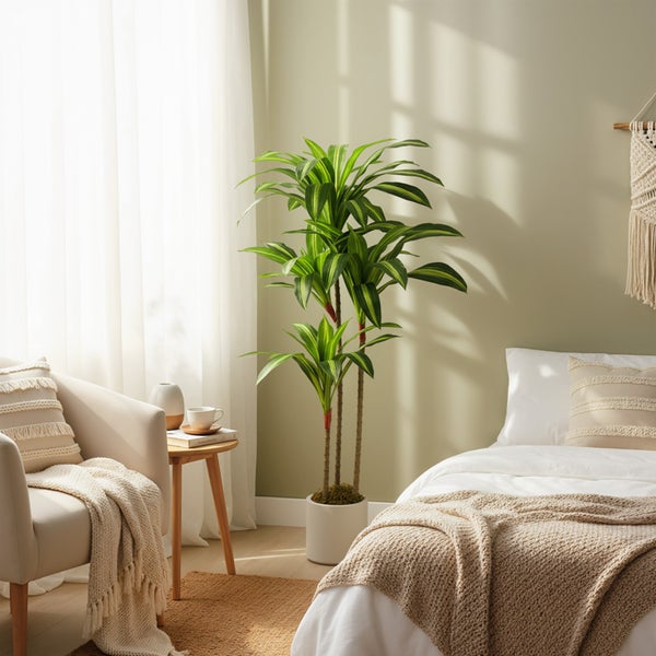 Zimmerpflanze Dracaena in weißem Topf in einem hellen Schlafzimmer neben einem Sessel und einem Bett.
