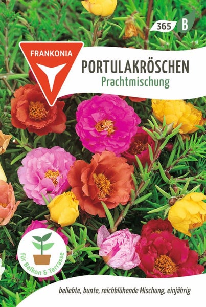 Samenpackung Portulakröschen Prachtmischung der Marke Frankonia für Balkon und Terrasse