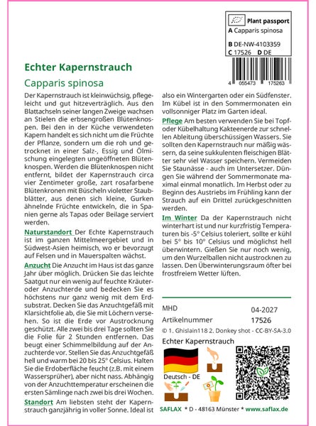 SAFLAX Geschenk Set - Echter Kapernstrauch - Capparis spinosa - 25 Samen - Mit Geschenkbox, Versandaufkleber, Geschenkkarte und Anzuchtsubstrat