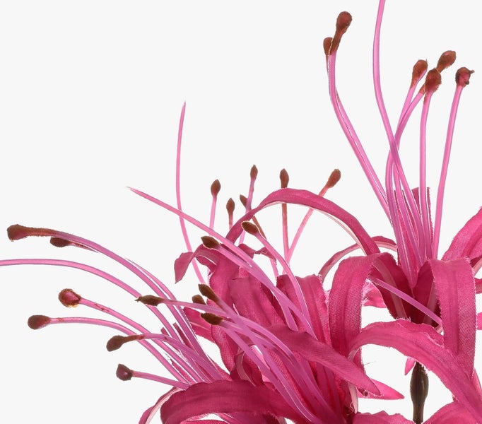 Künstliche Nerine Lilie in Pink, Detailansicht der Blütenblätter und langen Staubblätter.