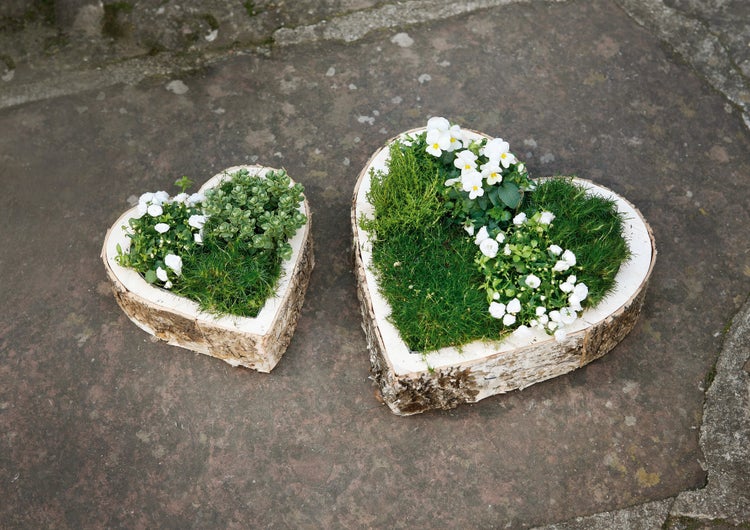 FRANK FLECHTWAREN | Pflanzherz Birke, 2er Set, HOLZ, Ø 21 x 5 cm, Ø 31 x 5 cm