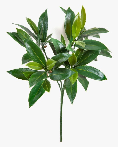 Künstlicher Lorbeerzweig mit grünen Blättern und kleinen Beeren