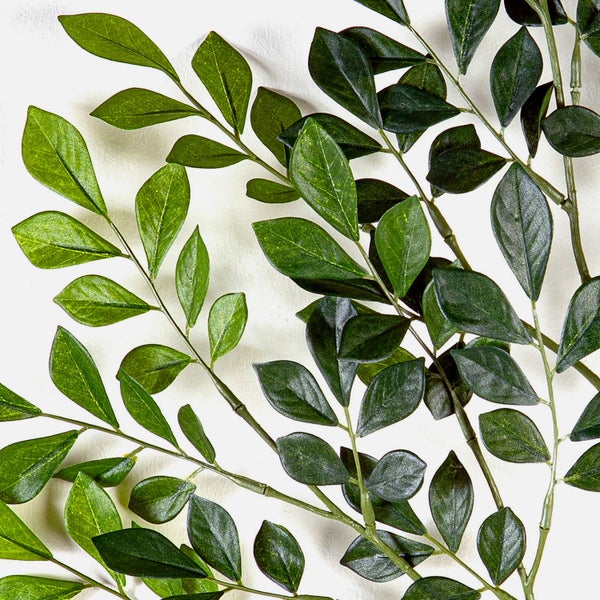 Künstlicher Ruscus-Zweig mit grünen Blättern.