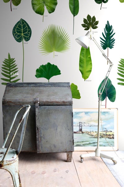 Dekoratives Zimmer mit einem alten Schrank, Stuhl, Stehlampe und botanischem Wandbild mit verschiedenen Blättern