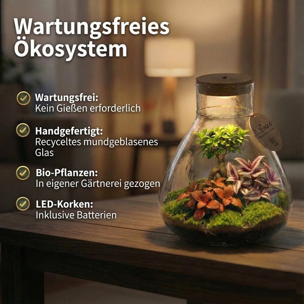 Wartungsfreies Ökosystem im mundgeblasenen Glas mit LED-Korken und Bio-Pflanzen auf einem Holztisch.