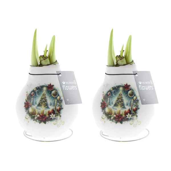 Wachs-Amaryllis mit Weihnachts-Motiv und grünen Trieben, benötigt kein Wasser.