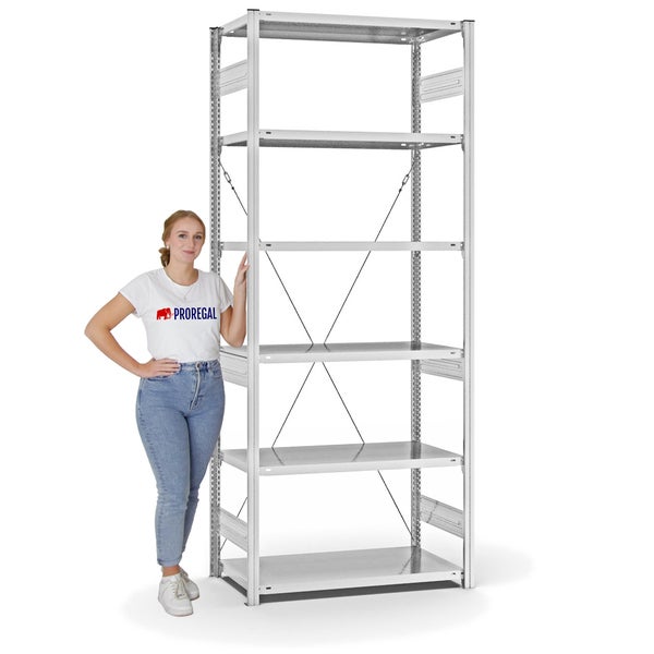 PROREGAL Fachbodenregal Stecksystem T-Profil Medium-Duty Grundregal HxBxT 250 x 100 x 50 cm 6 Ebenen Fachlast 230 kg Einseitig Nutzbar Lichtgrau