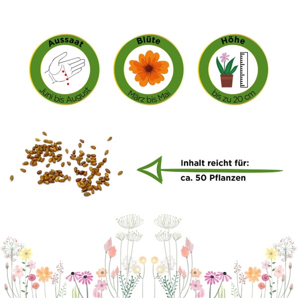 Aussaat von Juni bis August, Blütezeit von März bis Mai, Wuchshöhe bis 20 Zentimeter. Inhalt reicht für circa 50 Pflanzen.