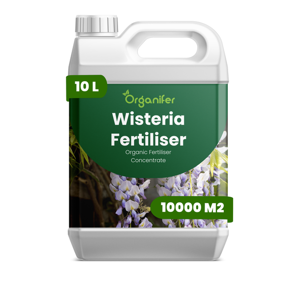 Organifer Blauregendünger, organisches Düngerkonzentrat, 10 Liter Kanister für 10000 Quadratmeter.
