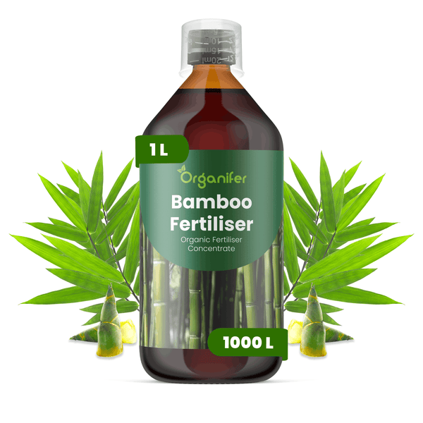 Organifer Bambusdünger, organisches Düngerkonzentrat, 1 Liter Flasche mit Messbecher, umrahmt von Bambusblättern.