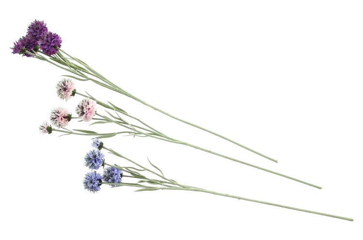 FRANK FLECHTWAREN | Kunstblume Kugeldistel, 3er Set, L: 59 cm, KUNSTSTOFF