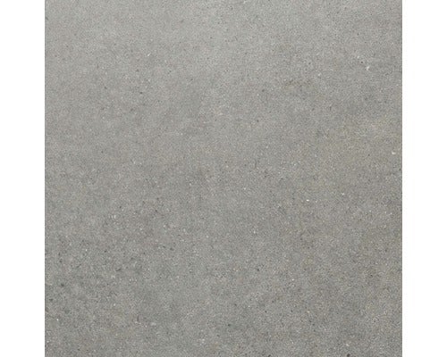 Wand- und Bodenfliese Sandstein grau 60x60 cm