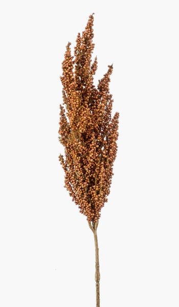 Getrocknete Dekozweige mit kleinen runden Beeren in Braun.