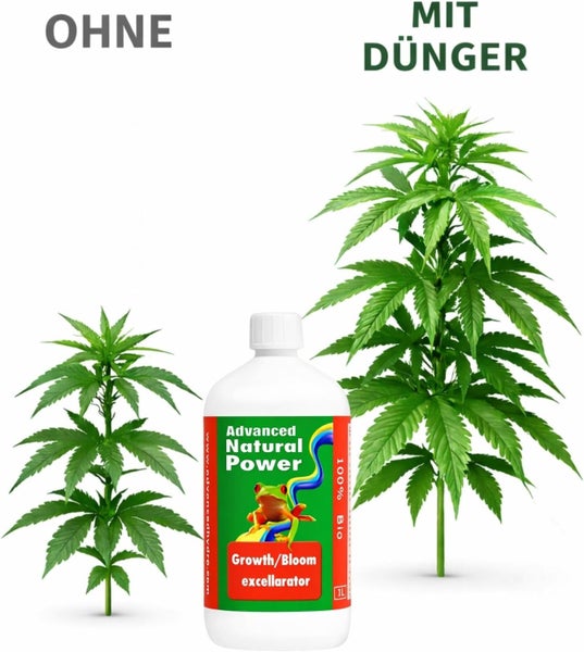 Vergleich von Pflanzenwachstum ohne und mit Advanced Natural Power Growth und Bloom excellarator biologischem Dünger.
