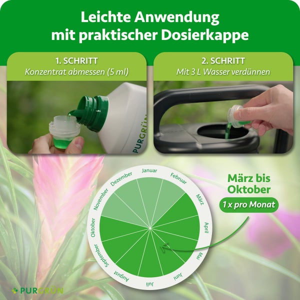 Anwendungsanleitung für Purgrün Pflanzendünger mit Dosierkappe, Konzentratverdünnung und saisonalem Anwendungsdiagramm für die Anwendung.