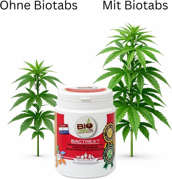 BioTabs Bactrex Dose mit Vergleich von zwei Pflanzen: eine kleine Pflanze ohne Biotabs und eine größere Pflanze mit Biotabs zur Veranschaulichung.