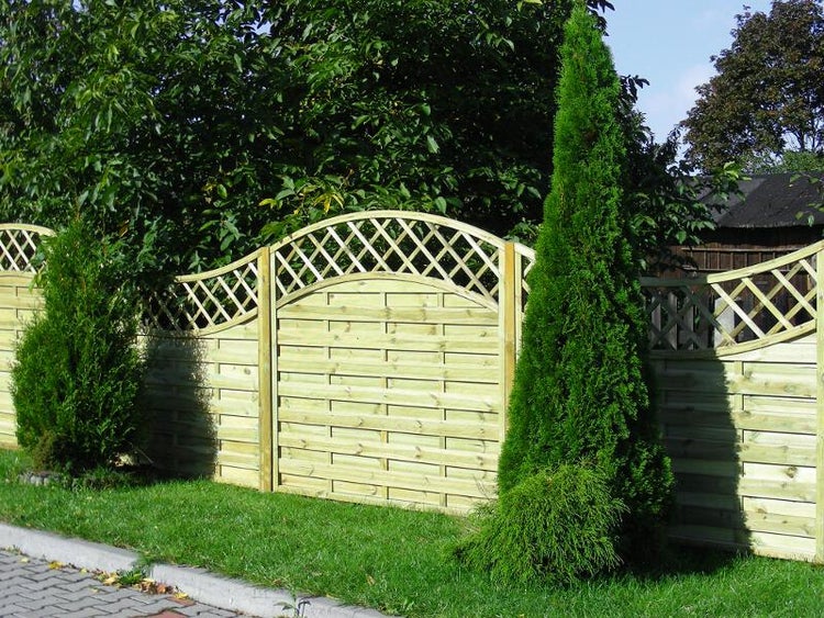 Holzzaun mit Lattenmuster und zwei Zypressen