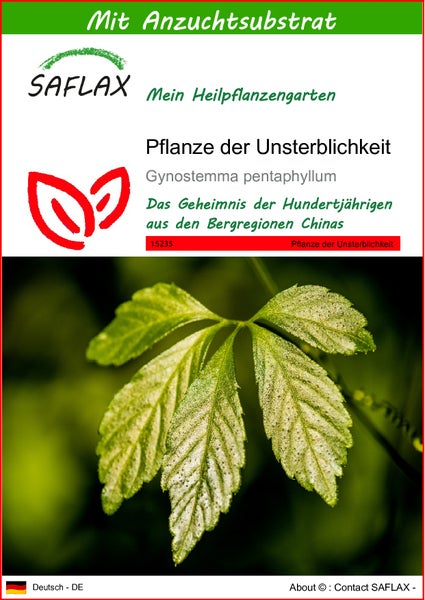 SAFLAX  - Pflanze der Unsterblichkeit - Gynostemma pentaphyllum - 30 Samen - Mit keimfreiem Anzuchtsubstrat