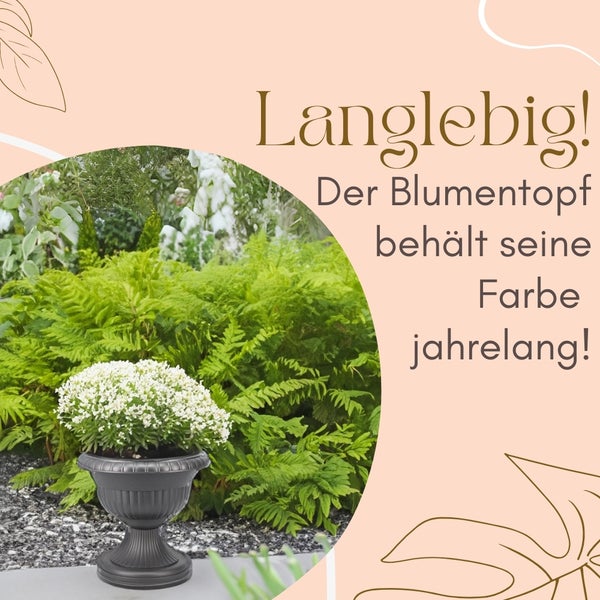 Blumentopf mit weißer Pflanze im Gartenbeet
