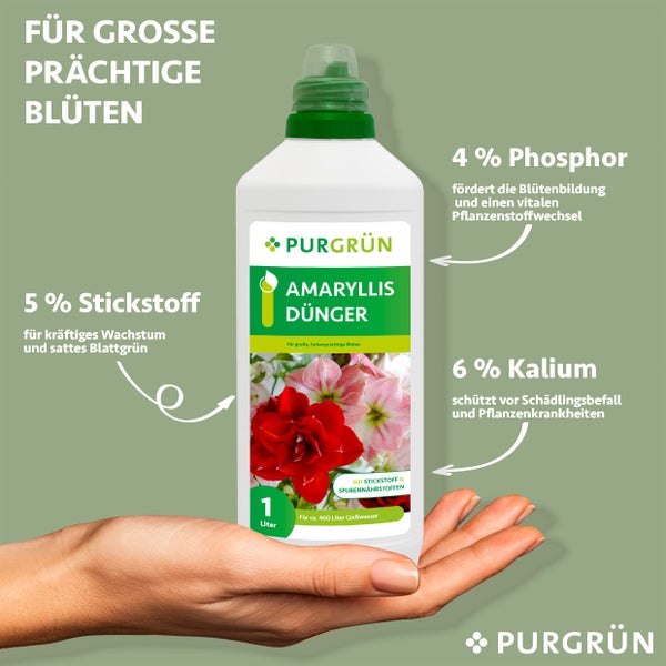 Purgrün Amaryllis-Dünger 1 Liter
