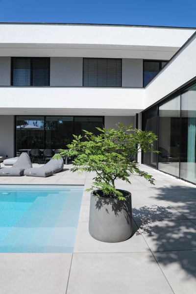 Moderne Terrasse mit grauem rundem Pflanzkübel und grünem Japanischem Ahorn neben einem Pool und einem weißen minimalistischen Haus.