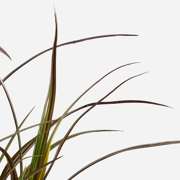 Nahaufnahme der Stielbasis eines künstlichen Grases mit strukturierter Oberfläche und Drahtring.