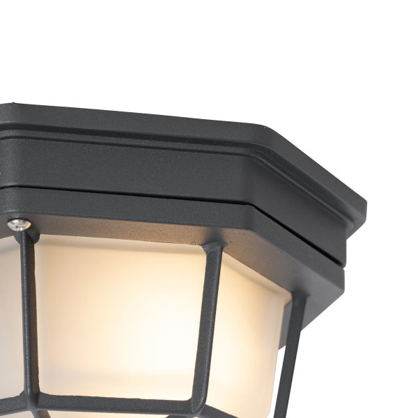 Nahaufnahme einer sechseckigen Außenleuchte aus Metall mit opalem Diffusor und Käfig-Design.