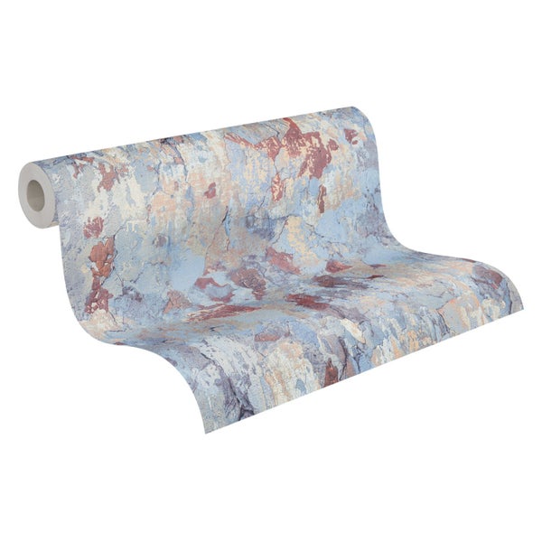 Drachenbaum Zimmerpflanze im Topf