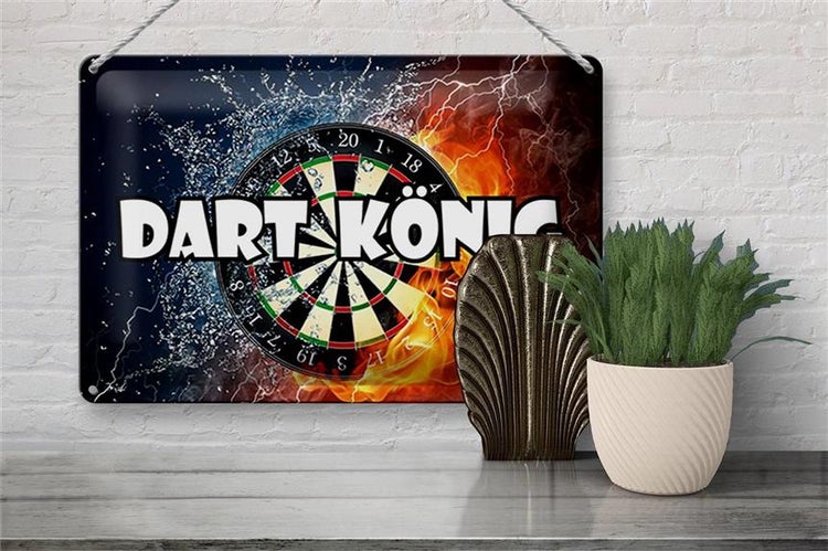 Blechschild Spruch 30x20cm Darts Dart König