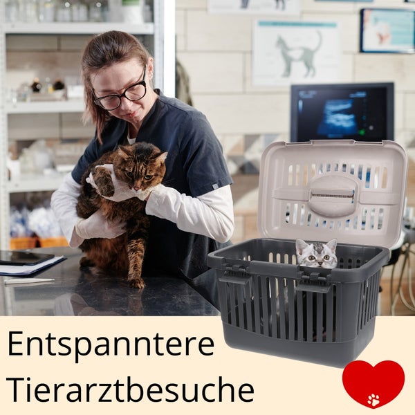 Szene in einer Tierarztpraxis mit Tierärztin, Katze und Transportbox.
