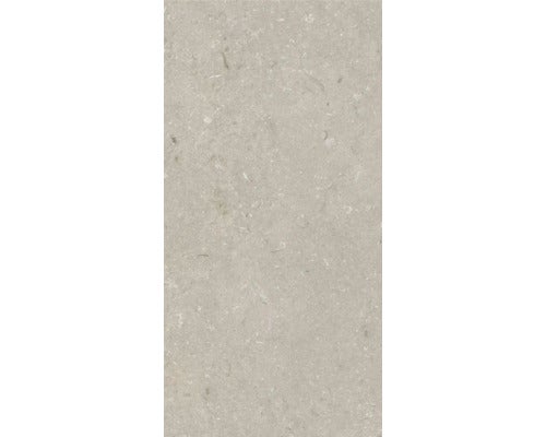 Wand- und Bodenfliese Shellstone taupe 60x120cm