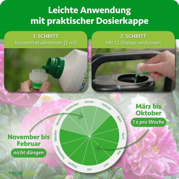 Anwendungshinweise und Düngekalender für Purgrün Flüssigdünger mit Dosieranleitung in zwei Schritten und saisonaler Übersicht für die Anwendung.