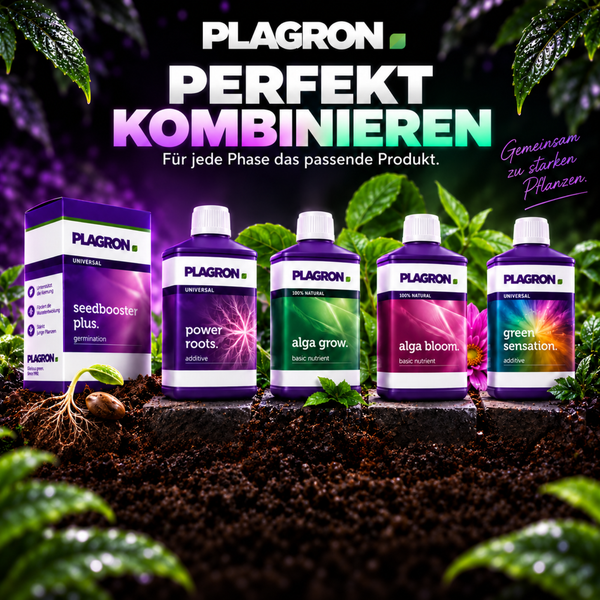 Plagron Dünger und Additive zur Pflanzenpflege auf Erde mit Seedbooster Power Roots Alga Grow Alga Bloom und Green Sensation Flaschen