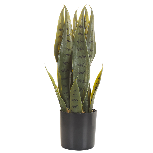 Kunstpflanze SNAKE PLANT 40 cm Grün