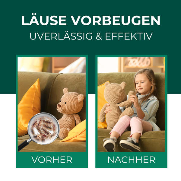 Silberkraft Läusespray 500 ml, Läuse-Ex-Spray, Textilien schützen, Kopfläuse vorbeugen, Umgebungsspray gegen Läuse, effektives Abwehrspray gegen Nissen