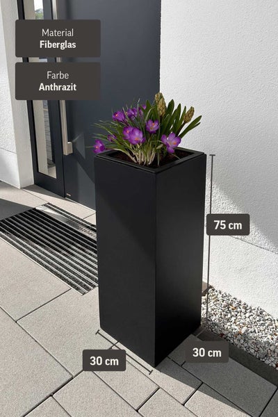 Moderner hoher Pflanzkübel aus Fiberglas in Anthrazit, 75 mal 30 mal 30 Zentimeter, bepflanzt mit lila Krokussen im hellen Eingangsbereich.