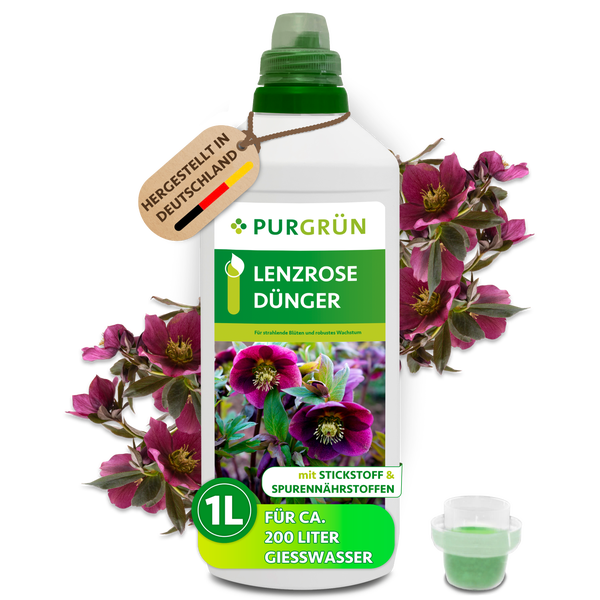 Purgrün Lenzrose Dünger, 1 Liter Flasche für circa 200 Liter Gießwasser, mit Stickstoff und Spurennährstoffen. Hergestellt in Deutschland. Purgrün Logo.