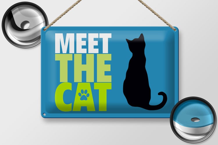 Blechschild Spruch 30x20cm meet the cat Katze