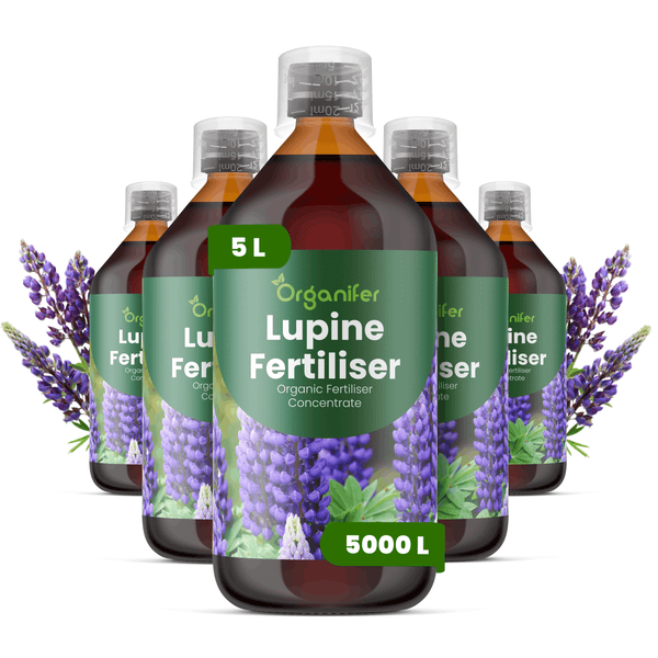 Fünf Flaschen Organifer Lupinen-Dünger, organisches Düngerkonzentrat, 5 Liter pro Flasche.