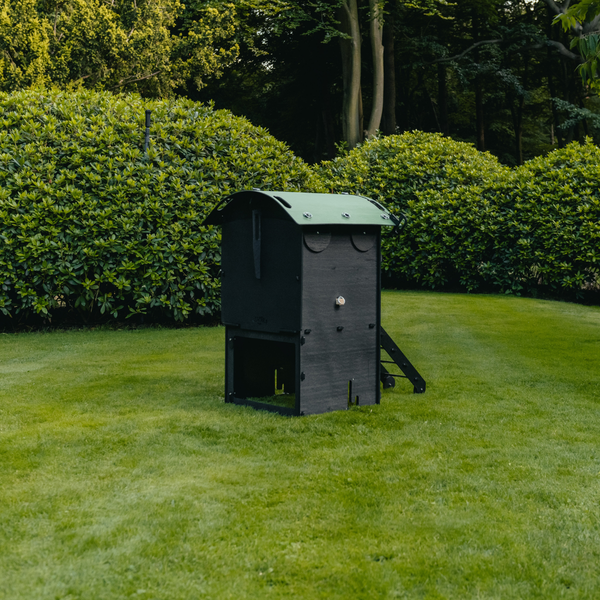 Ein dunkler Hühnerstall mit grünem Dach und Rampe auf einer Rasenfläche in einem Garten mit Sträuchern.