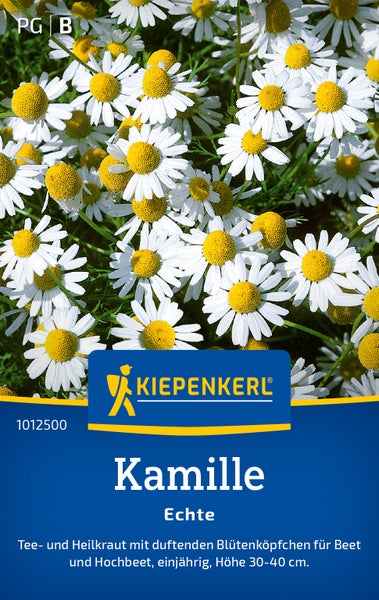 Saatgut Kiepenkerl Echte Kamille für Beet und Hochbeet