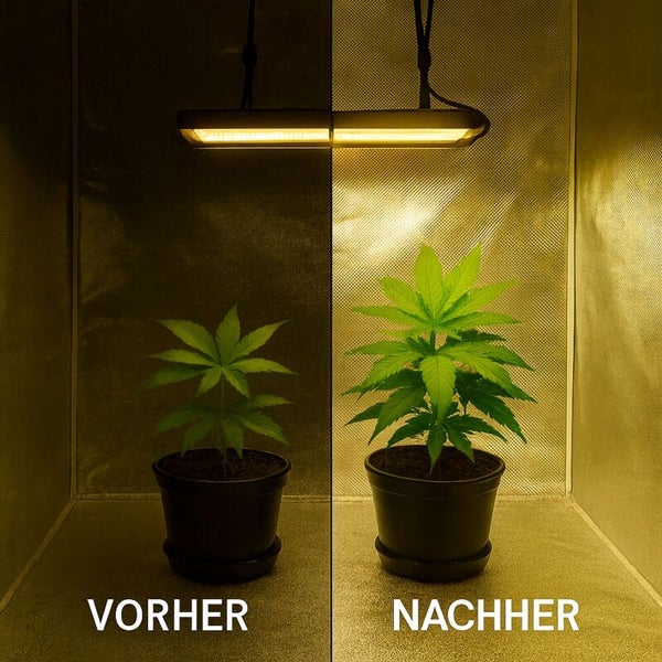 Hammerschlag Reflektionsfolie 10 Meter Rolle – Diamond Lightite Folie für maximale Lichtausbeute, 1,2m Breite